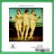Three Graces - Raffaello Sanzio