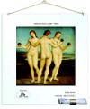 Plexiglass 5mm